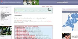 Nederlandse Postduivenhouders Organisatie